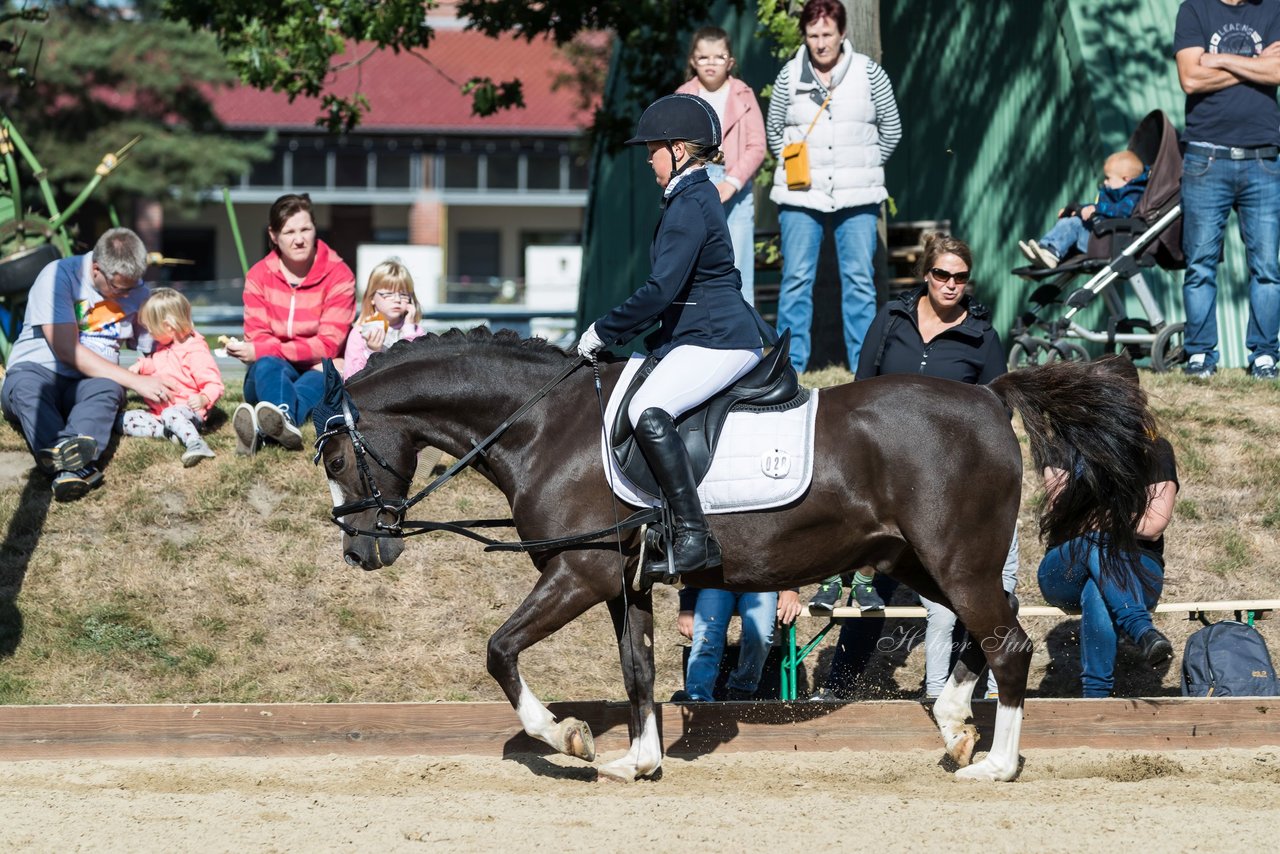 Bild 25 - Pony Akademie Turnier